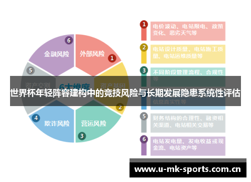 世界杯年轻阵容建构中的竞技风险与长期发展隐患系统性评估