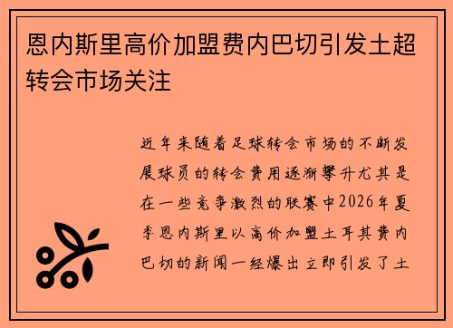 恩内斯里高价加盟费内巴切引发土超转会市场关注
